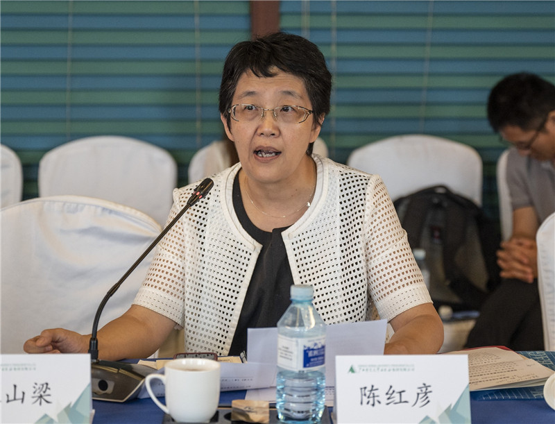 10 國家圖書(shū)館古籍館副館長(cháng)陳紅彥作主旨演講（李顯楊 攝）.jpg