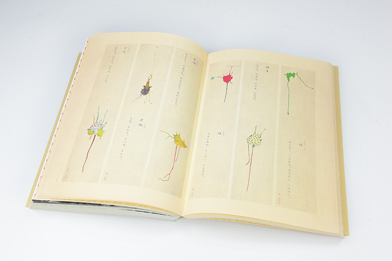 1541990388402734.jpg DSC_7954.JPG