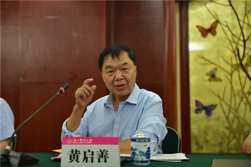 廣西壯族自治區博物館原館長(cháng)、研究館員黃啟善發(fā)言（郭倩 攝）.JPG