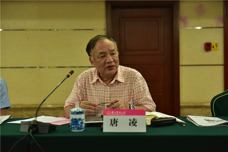 廣西歷史學(xué)會(huì )會(huì )長(cháng)、廣西師范大學(xué)歷史文化與旅游學(xué)院教授唐凌發(fā)言（郭倩 攝）.JPG